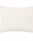 Monaco Big Pillow 28" X 36" With Insert - 4 colors