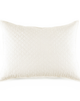 Hampton Big Pillow With Insert
